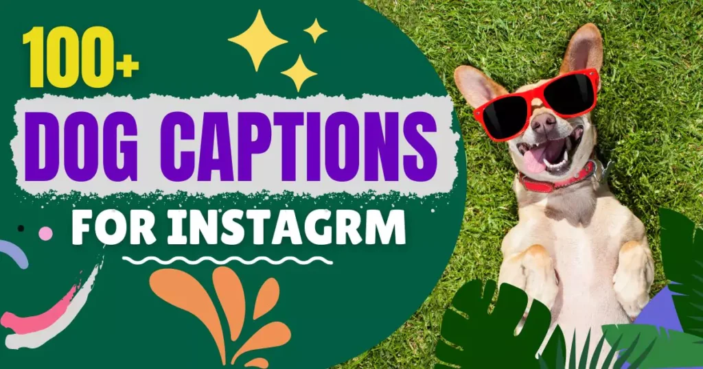 Dog Captions for Instagram