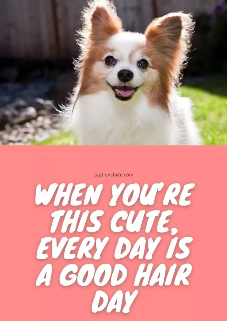 cute captions for dogs