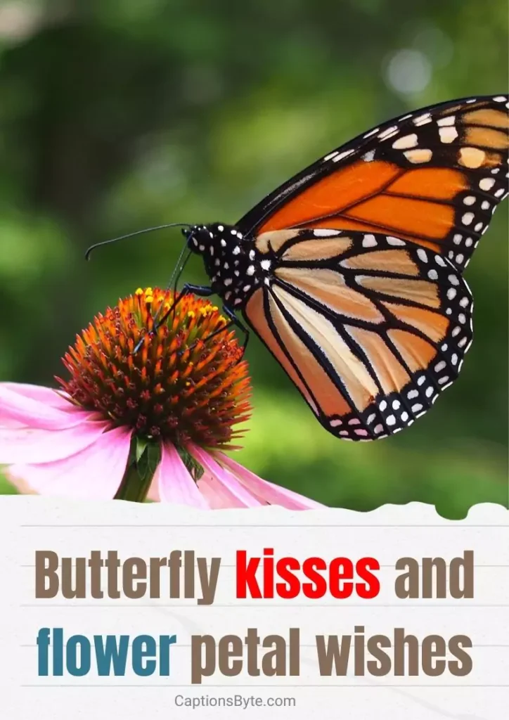 Butterfly kisses and flower petal wishes