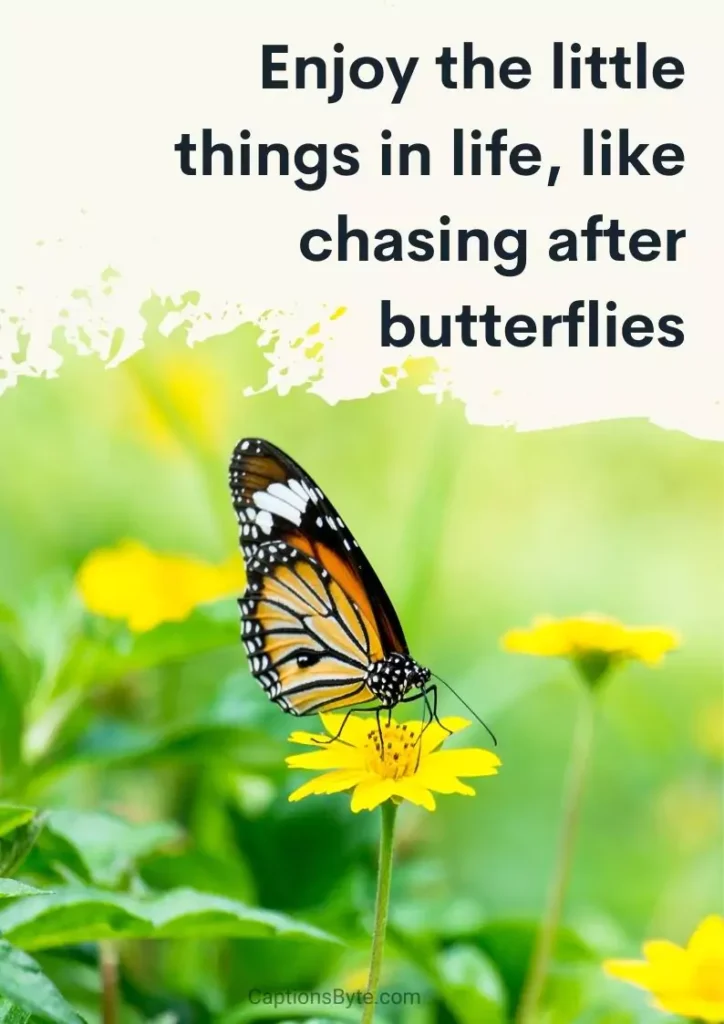 Cute Butterfly Captions