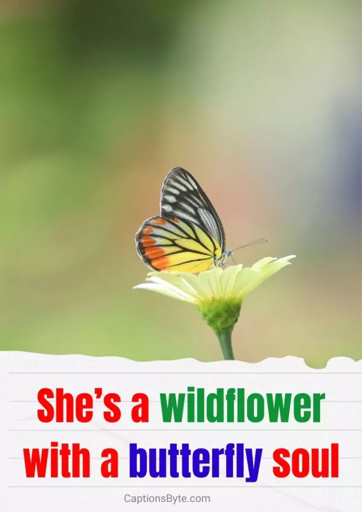 She’s a wildflower with a butterfly soul