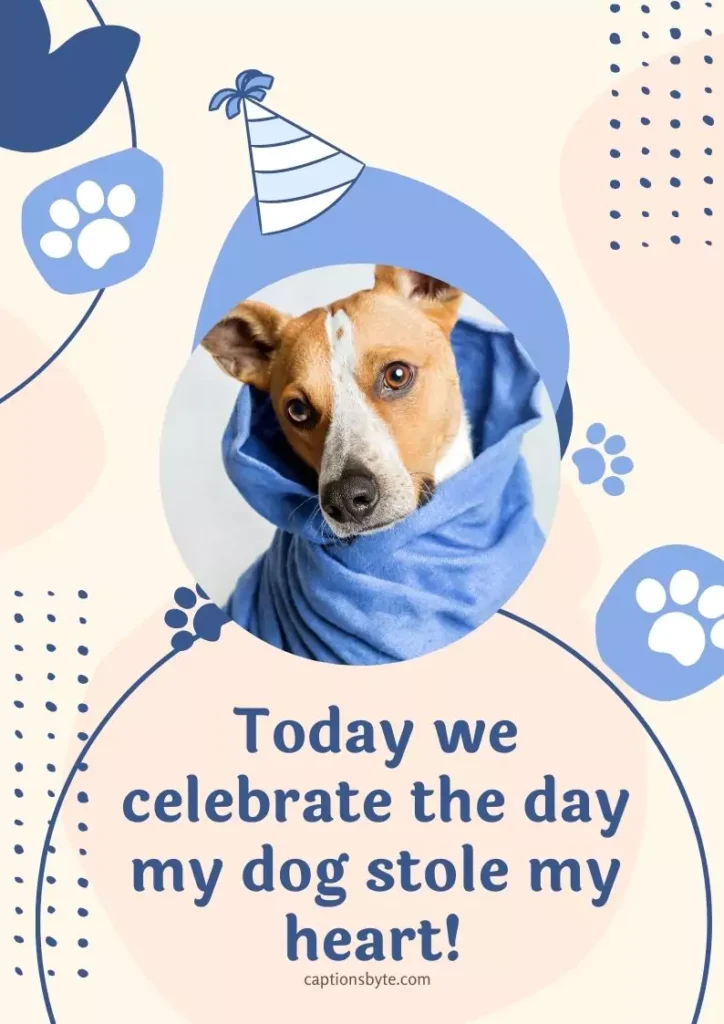 caption for dogs birthday 