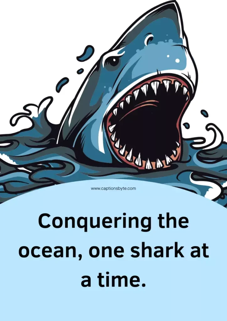 Shark fishing Instagram captions.