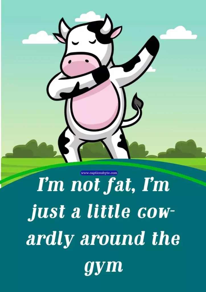 Funny cow captions for Instagram
