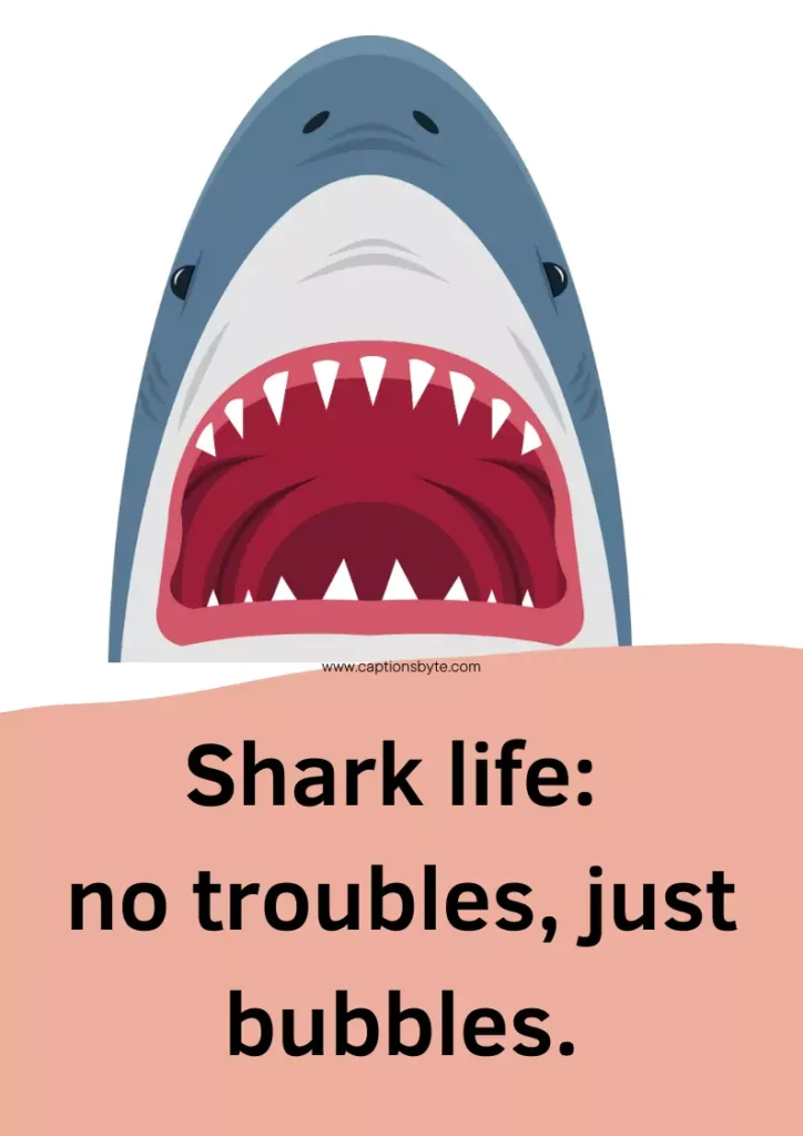 Funny shark captions for Instagram