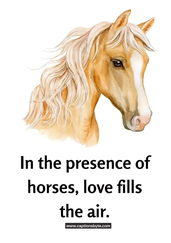 Horse love captions for Instagram.