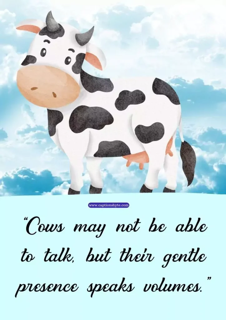 Cow quotes for Instagram