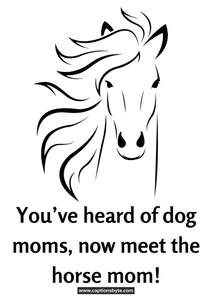 Funny horse captions.