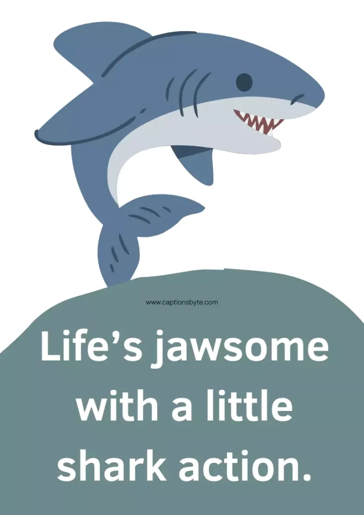 Baby shark captions