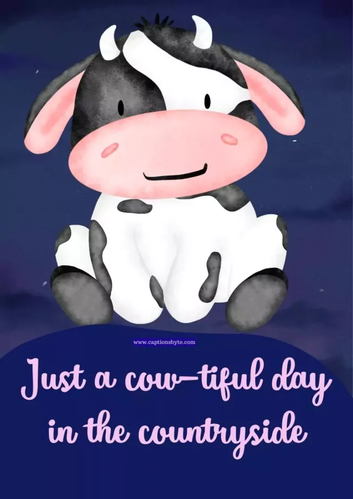 Cute cow captions for Instagram.