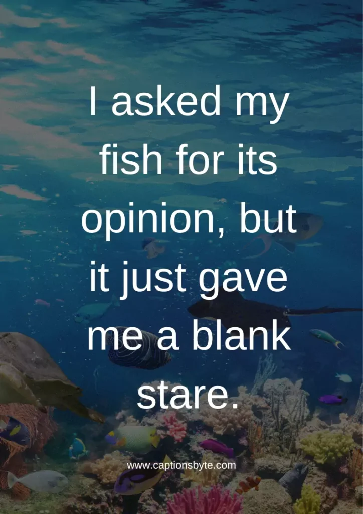 Funny Aquarium Instagram Captions.