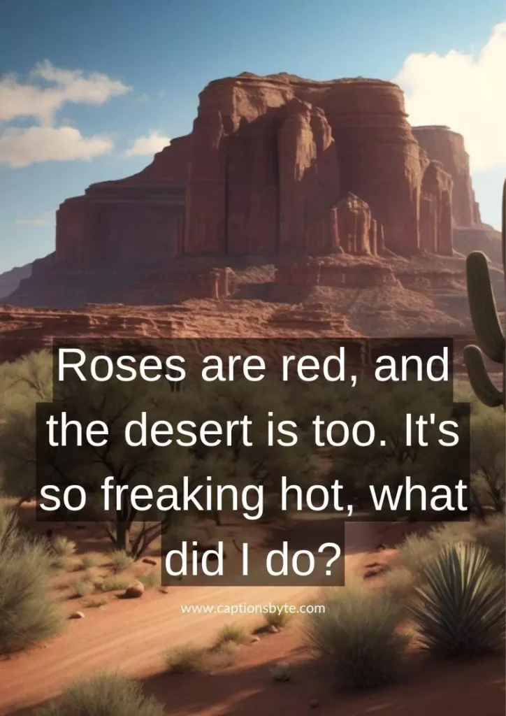 Funny Arizona Instagram Captions