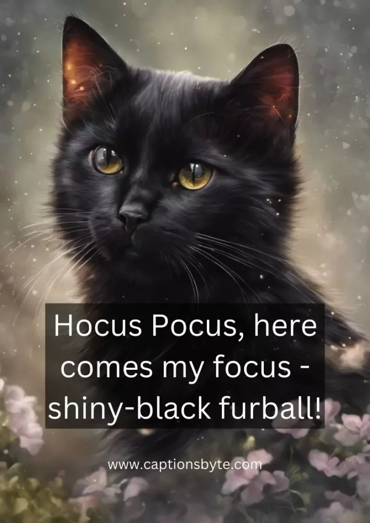 Black cat captions