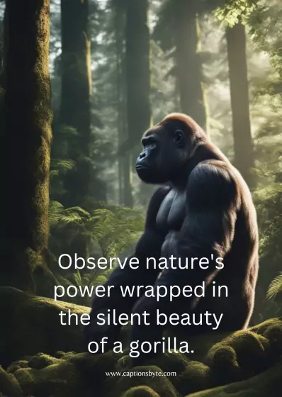 Best Gorilla Captions 