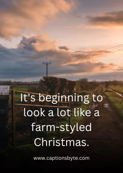 Christmas Tree Farm Captions