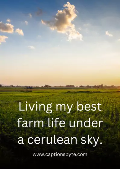 Farm Captions for Instagram