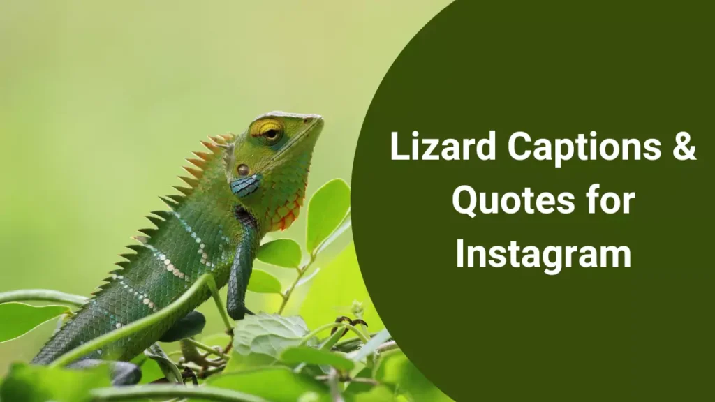 Lizard Captions & Quotes for Instagram