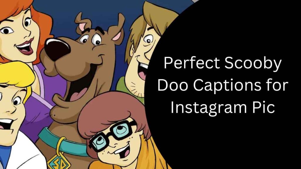 Perfect Scooby Doo Captions for Instagram Pic