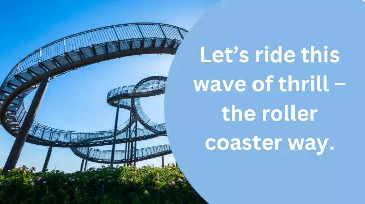 Best roller coaster captions