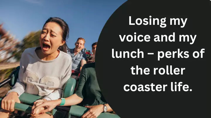 Funny roller coaster captions