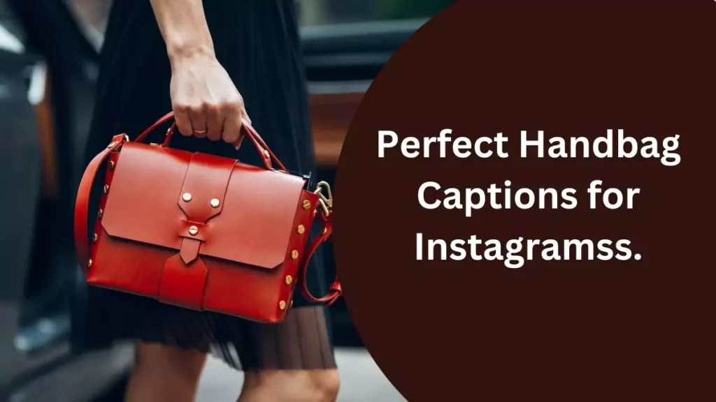 Perfect Handbag Captions for Instagram