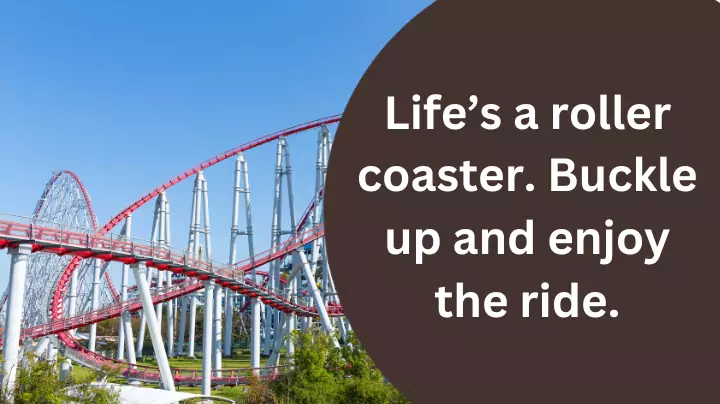 Roller coaster journey quotes